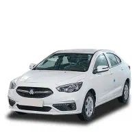 سواری آژانس دربستی