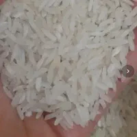 برنج ایرانی هاشمی با قیمت اقتصادی