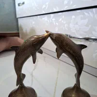 دلفین برنجی