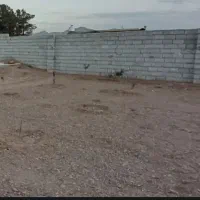 زمین-شمالی-طرح-مسکونی-جلال-اباد