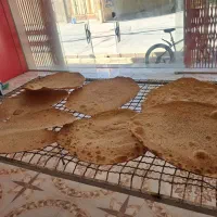 جهت همکاری نیروی خانم برای نانوایی