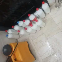 ریشه کنی قطعی حشرات