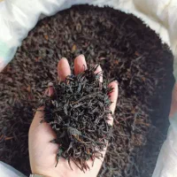 چایی فروشی گیل نوش گیلان