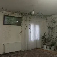 گل پتوس
