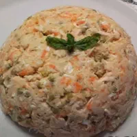 غذای خانگی سگ و گربه