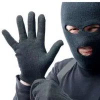 سارق را بگیر.حفاظ.نرده تیز.شاخ گوزنی