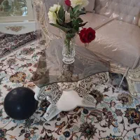 میز جلو مبلی عسلی