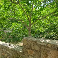 زمین مناسب برای ساخت