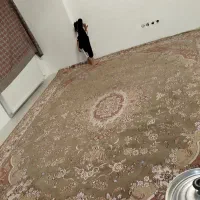 فرش ۱۲متری گردویی