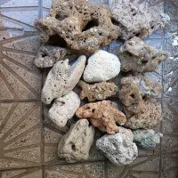 سنگ آکواریوم