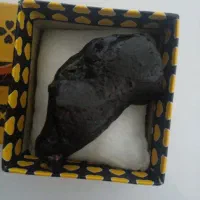 یک عدد شهاب سنگ بالایه سوخته کمیاب