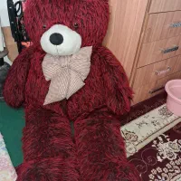 خرس بزرگ