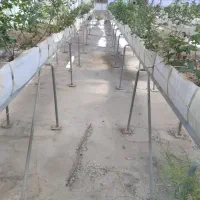 گالوانیزه شاسی زیر بستر کشت هیدروپونیک