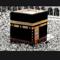 فروش خج عمره