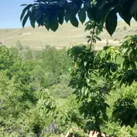 اتاق با بالکن