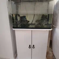 آکواریوم