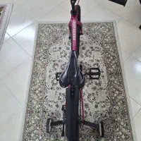 دوچرخه اورلرد