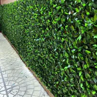 فنس چمنی و برگ دار بدون ریزش و مقاوم به نور خورشید