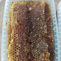 عسل طبیعی