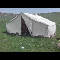 چادر 12نفره