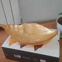 پاستا خوری ترک