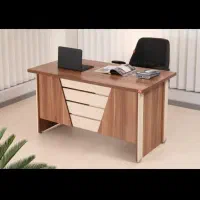 منشی خانم