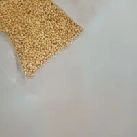 کتان و ارزن