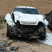 زانتیا تصادفی