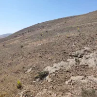 نیازمند نگهبان در معدن گلابر