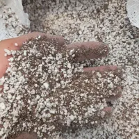 خاک گلدان نشا هیدروپونیک گلخانه