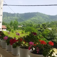 واحدی با همه امکانات رفاهی