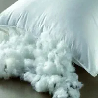 کار مخصوص بانوان