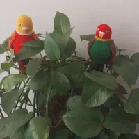 عروسک طوطی دست بافت