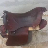 زین برنو