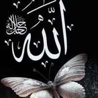 تاریخدان دعا نویس تاریخی