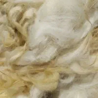 پشم گوسفند امسال