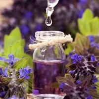 حجامت بادکش گرم درمان با گیاهان دارویی طب سنتی