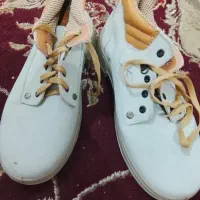 کفش کار