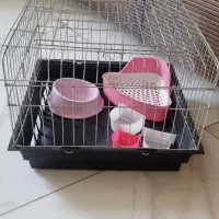 قفس خرگوش