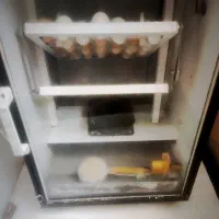 دستگاه جوجه کشی