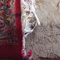 4*3|فرش|نیشابور, امام|دیوار
