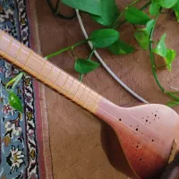 سه تار حرفه ای