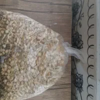 اسپند یا اسفند یا دینشت