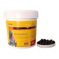 قرص بمبی ویکتوری کبوتر و پرنده،واکسن پرنده و دارو