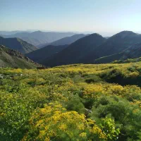 گردش ‌و گشت کمپین