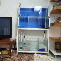 اکواریوم ۱۱۰سانتی ۱۰میل