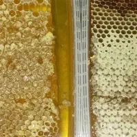 عسل و شیره ی کندوی بزقوش تضمینی خوش‌طعم و باکیفیت