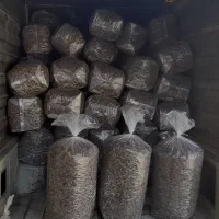 تخمه