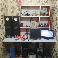 به دلیل نیاز مالی زیر قیمت میفروشم