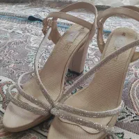کفش مجلسی